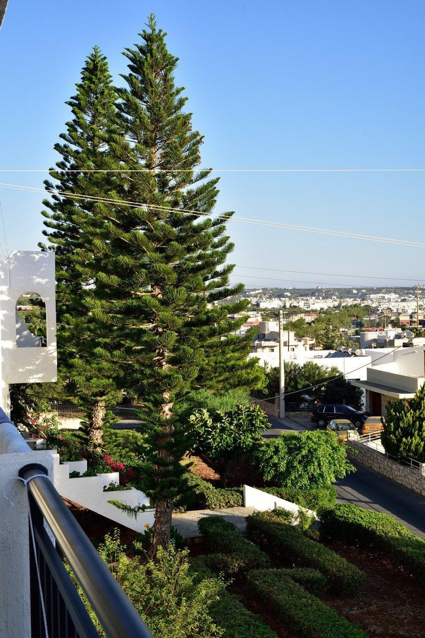 הרסוניסוס Dimitra Hotel מראה חיצוני תמונה